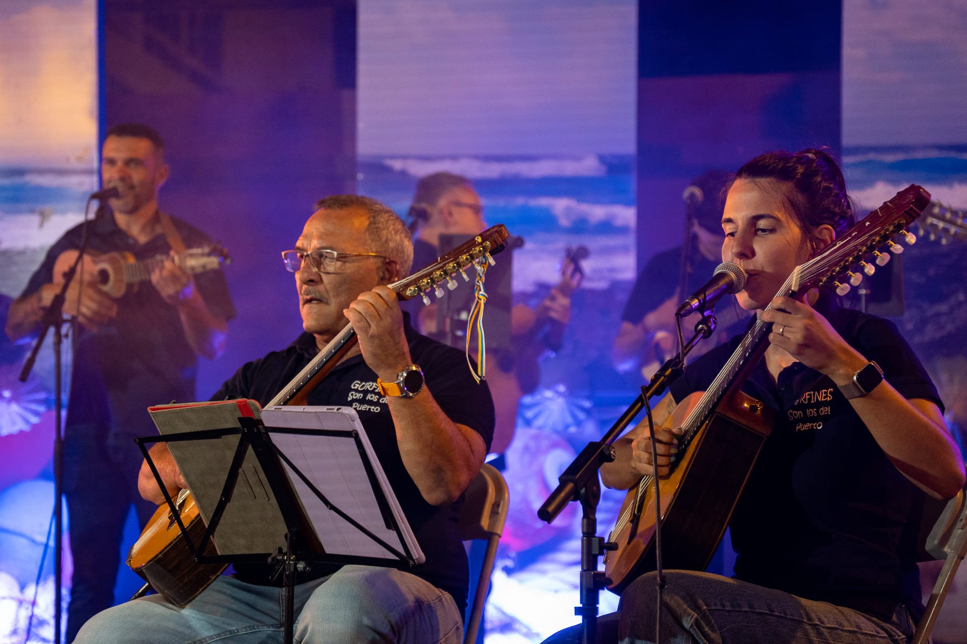 Fiestas de Valterra , 2025