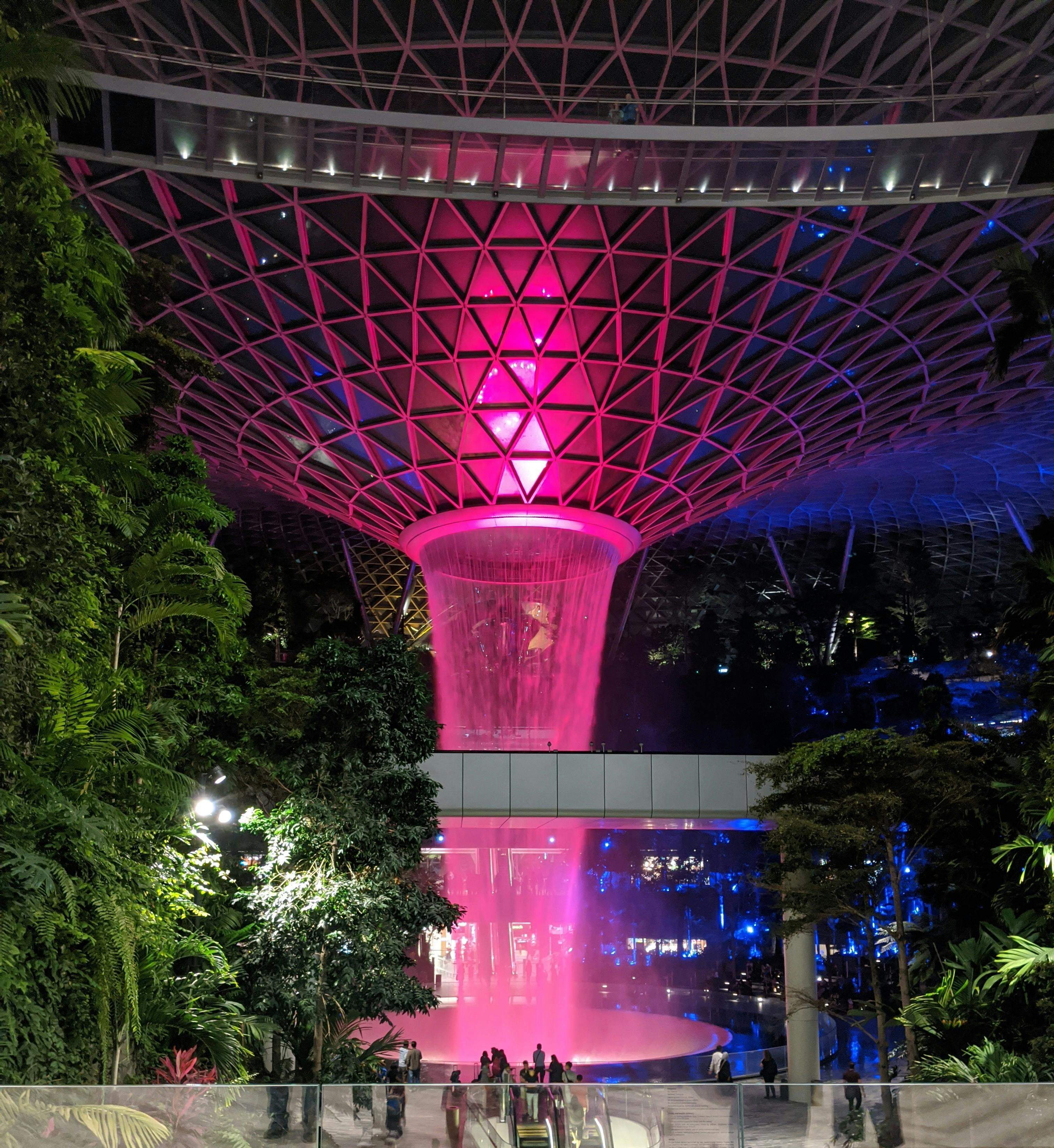 pexels giovanni callegari 3831522 5854282