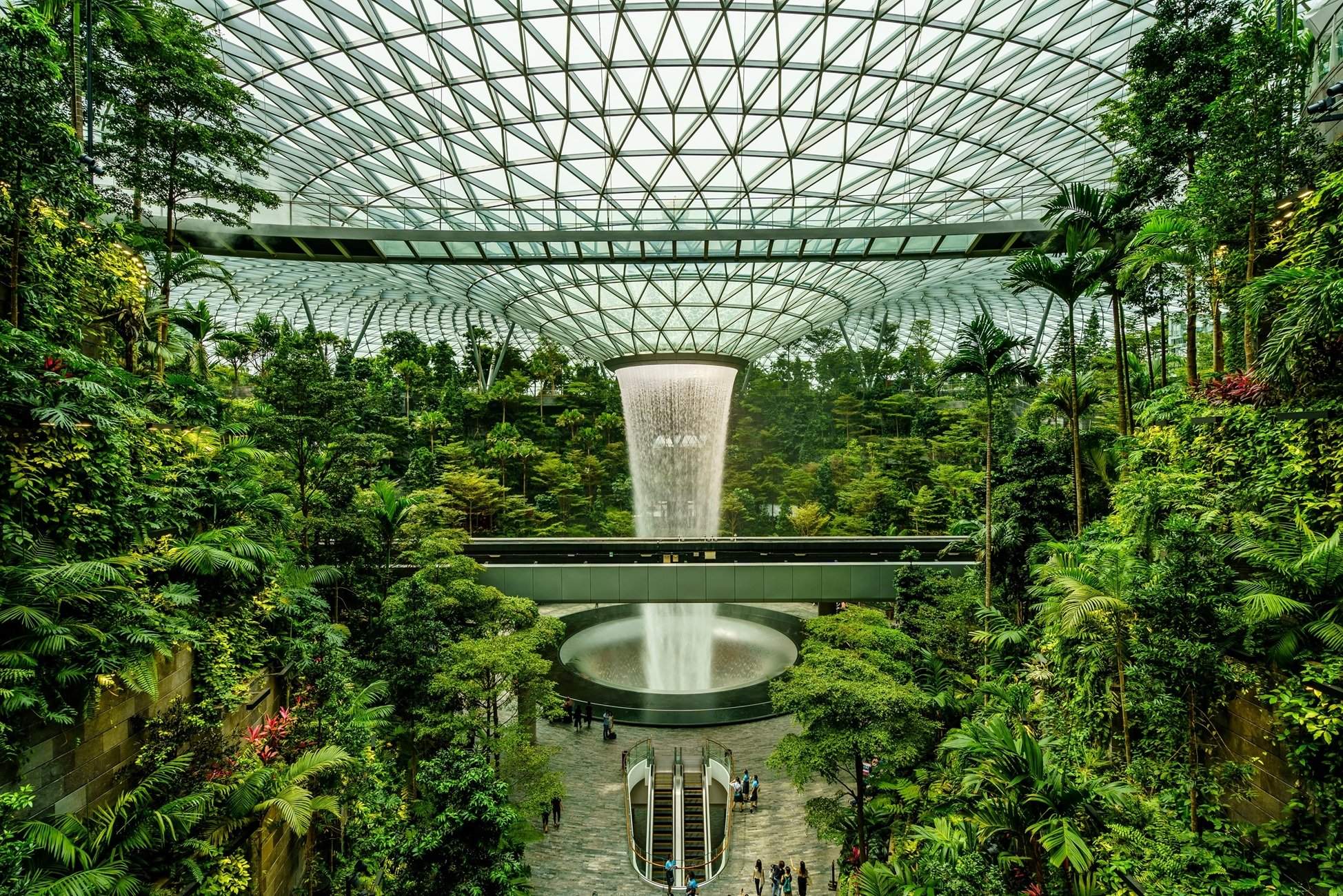 pexels realcereal 15314289