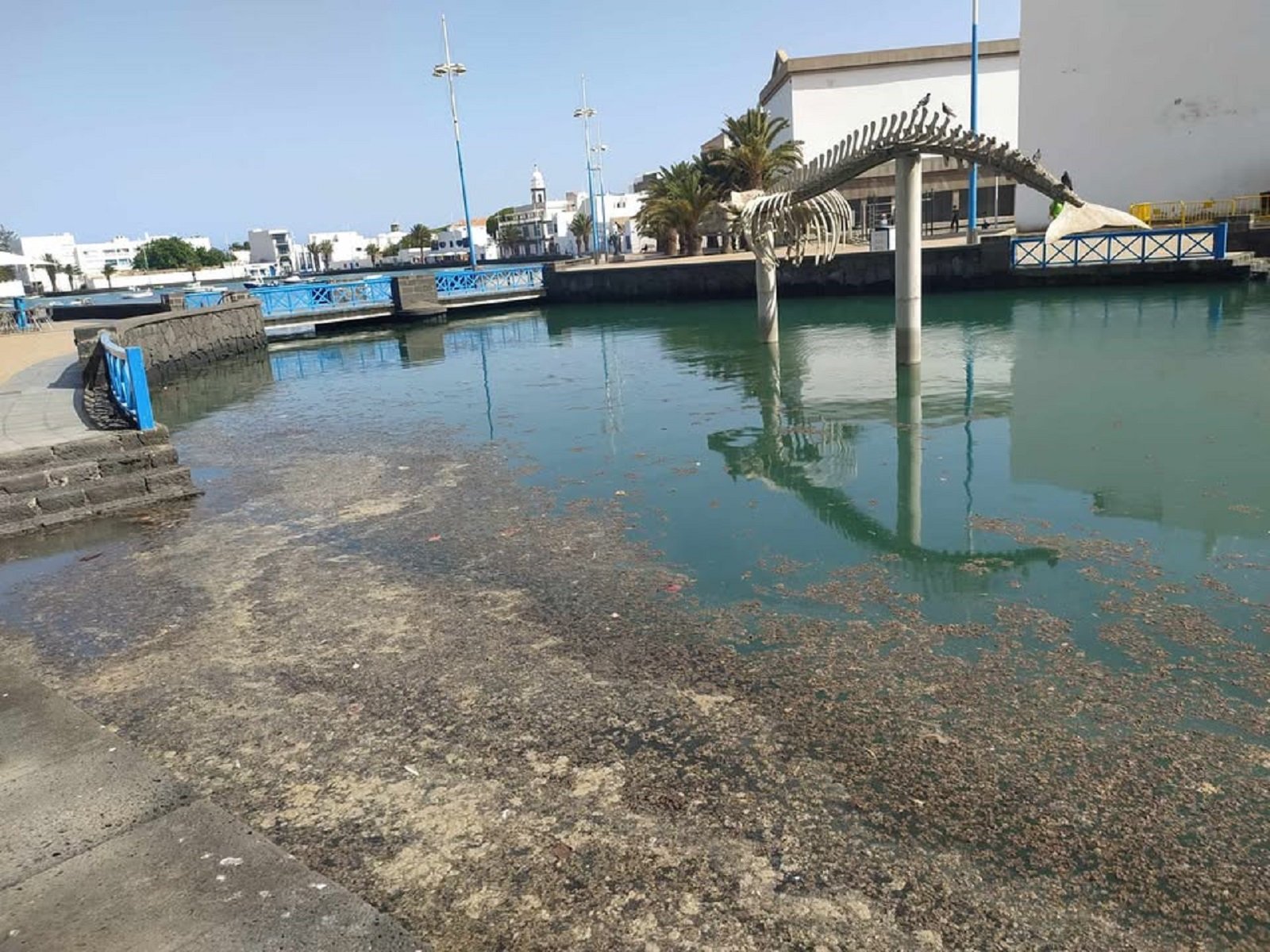 Charco de San Ginés. Foto: Cedida.