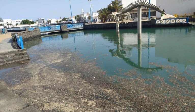 Charco de San Ginés. Foto: Cedida.
