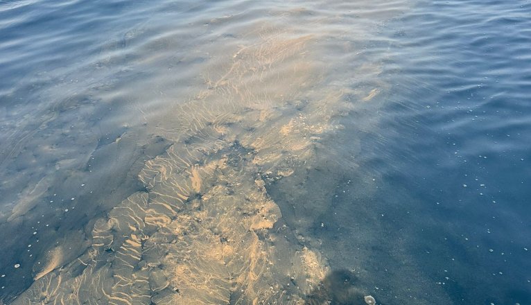 WhatsApp Image 2025 08 10 at 18.13.55