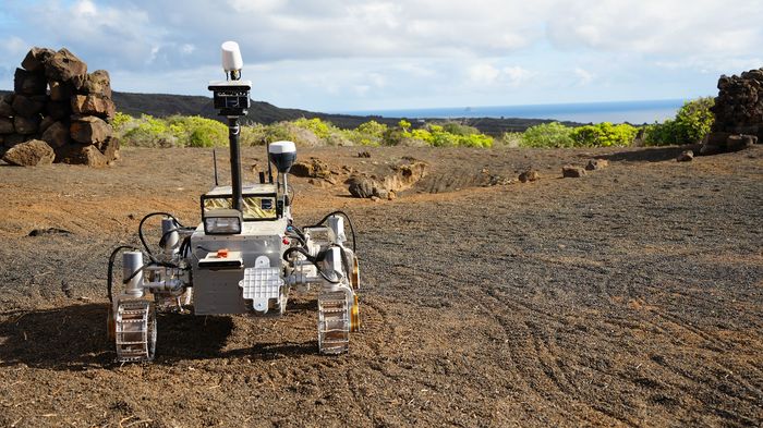 csm DSC00873 5ab912772e csm DSC00873 5ab912772e