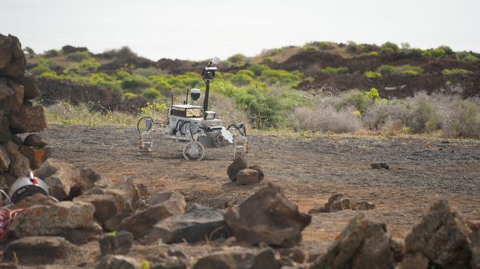 csm DSC01004 8287003a44 csm DSC01004 8287003a44