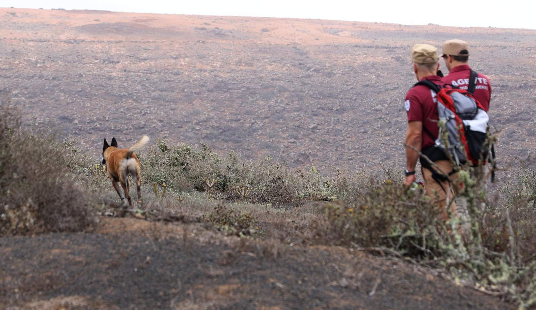 Unidad canina y agentes de Medioambiente.
