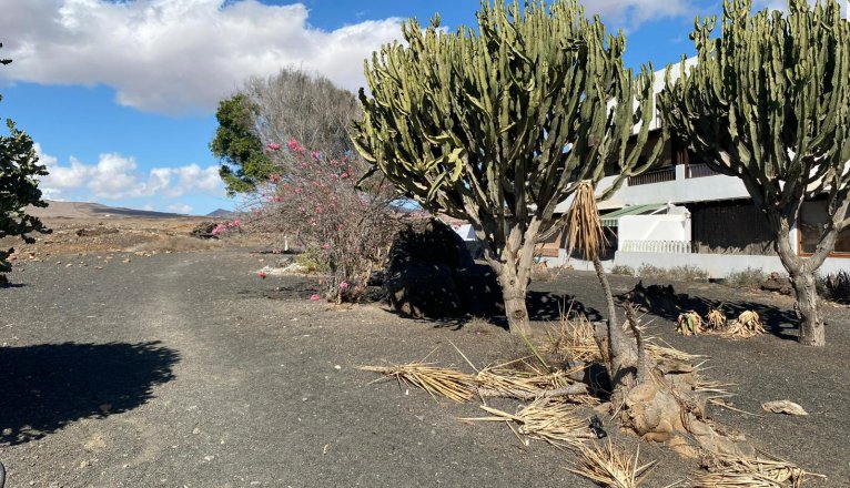 Imagen Costa Teguise