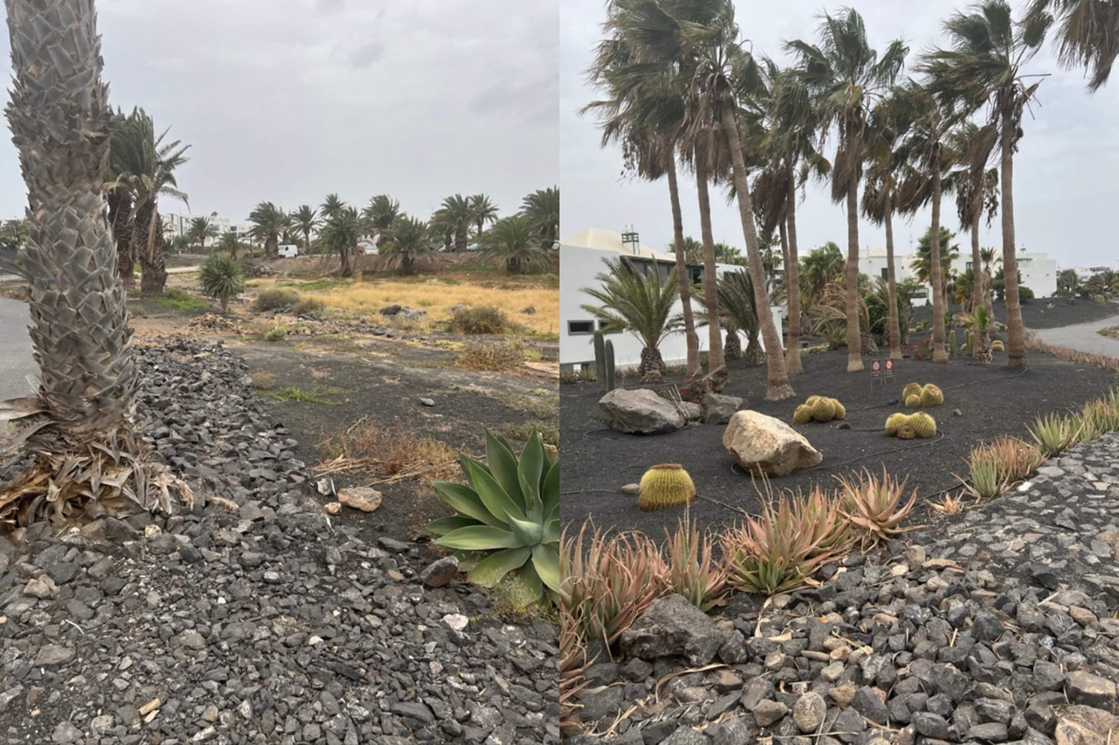 Antes y después de los jardines del barranco del Hurón