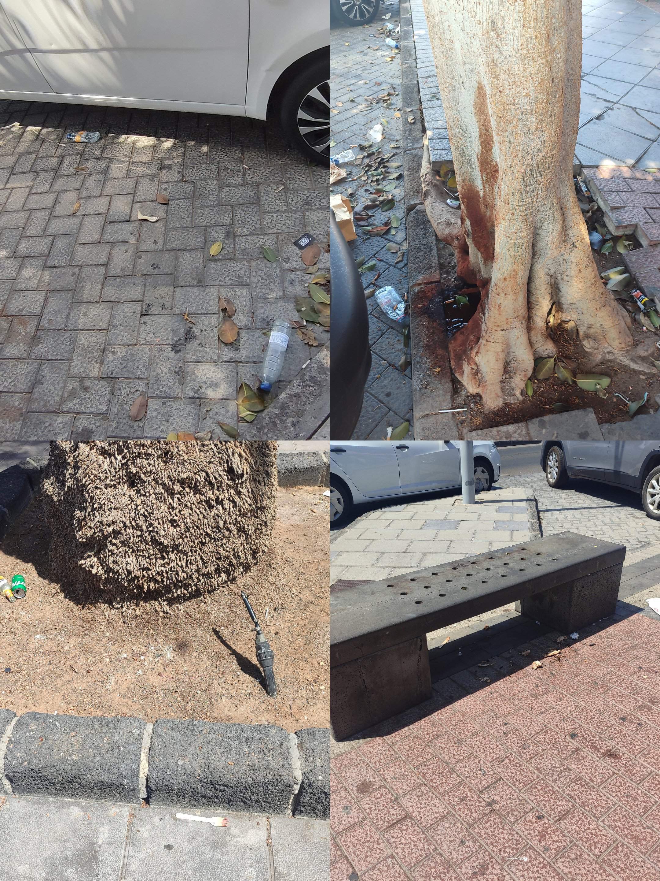 Basura en Puerto del Carmen 2 Basura en Puerto del Carmen 2