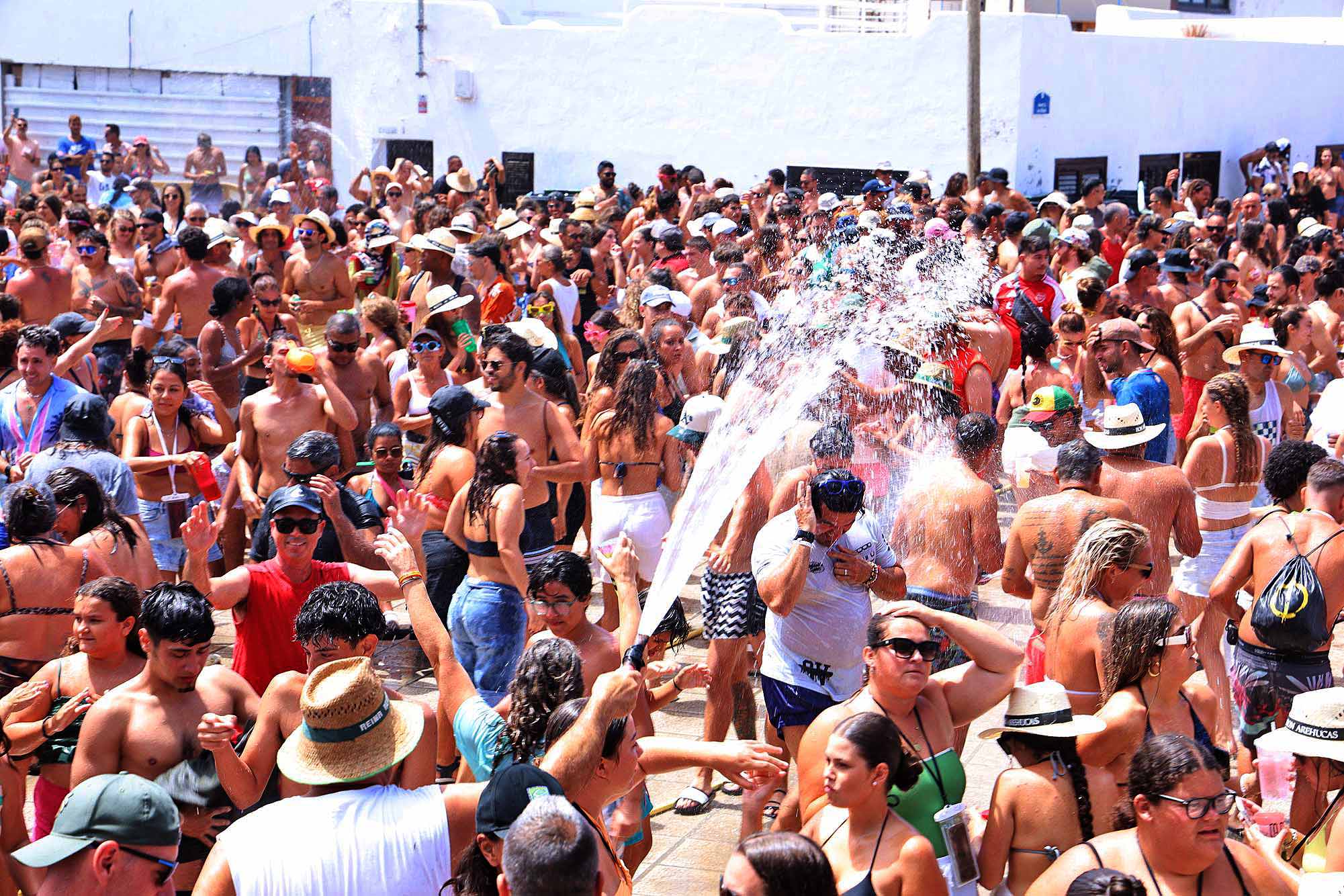 Verbena del agua en Famara, 2025