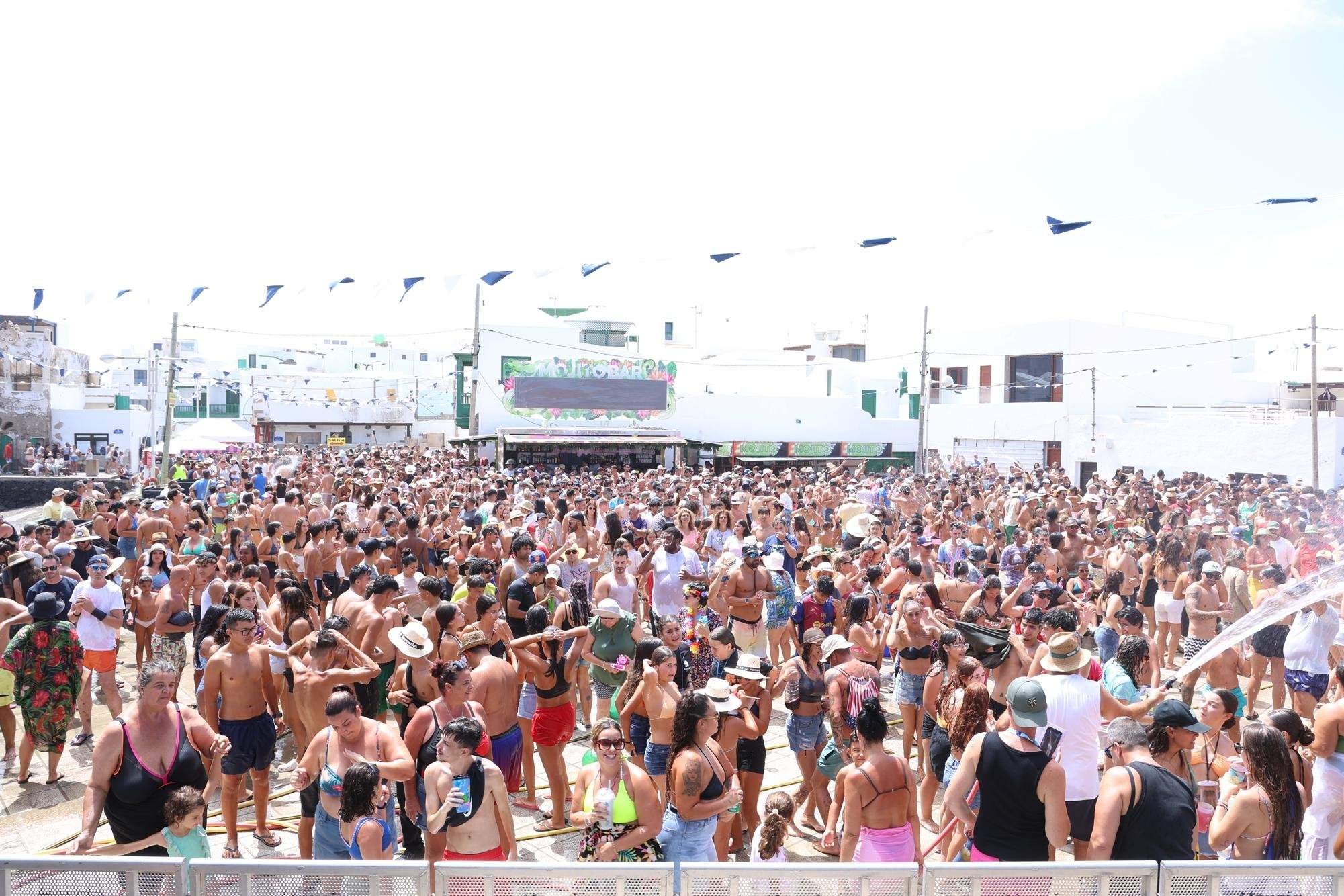 Verbena del agua en Famara, 2025