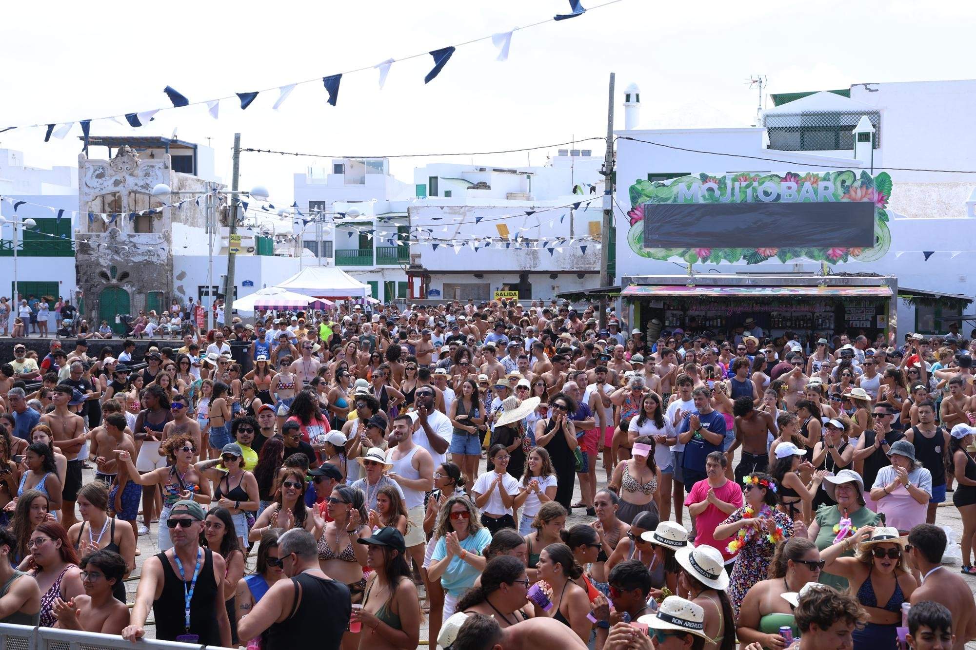 Verbena del agua en Famara, 2025