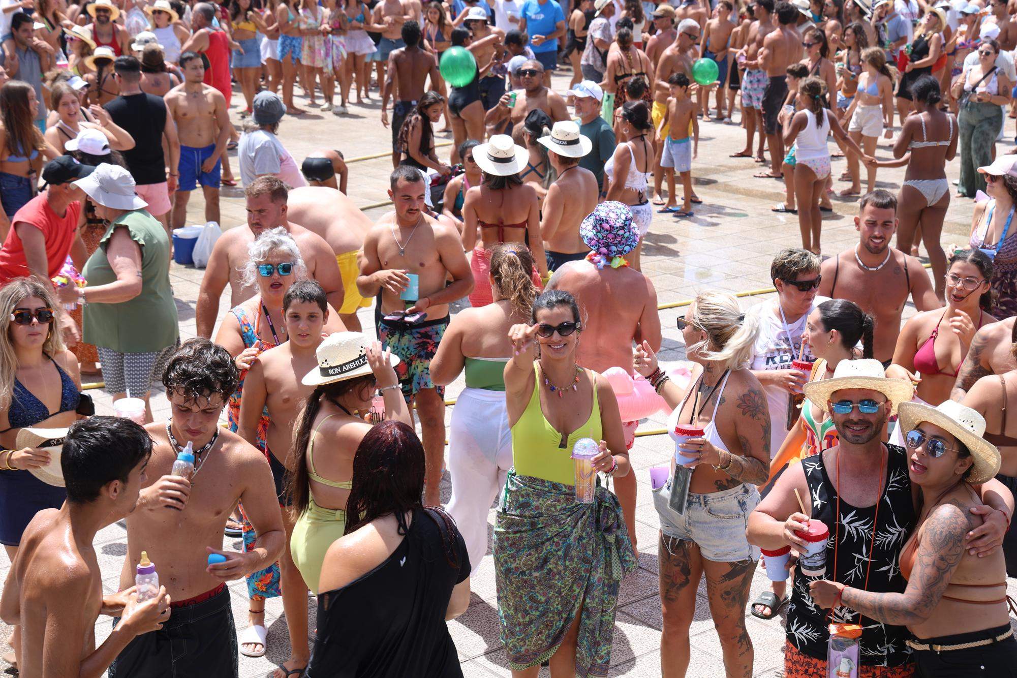 Verbena del agua en Famara, 2025