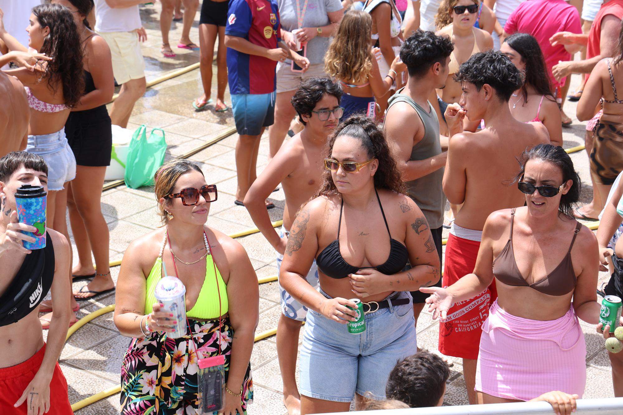 Verbena del agua en Famara, 2025