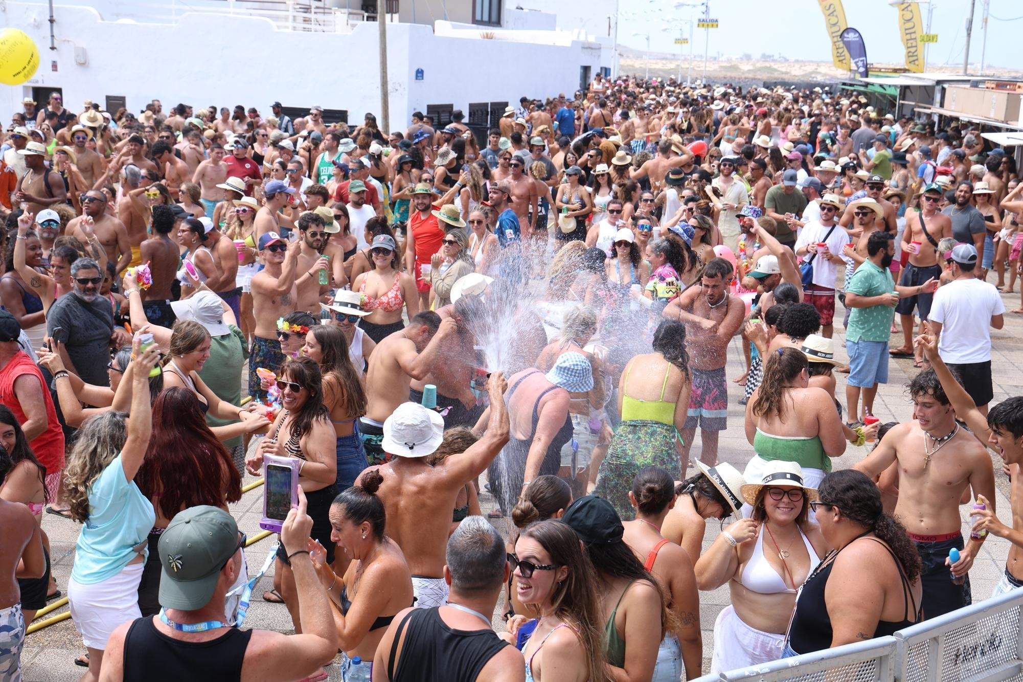 Verbena del agua en Famara, 2025