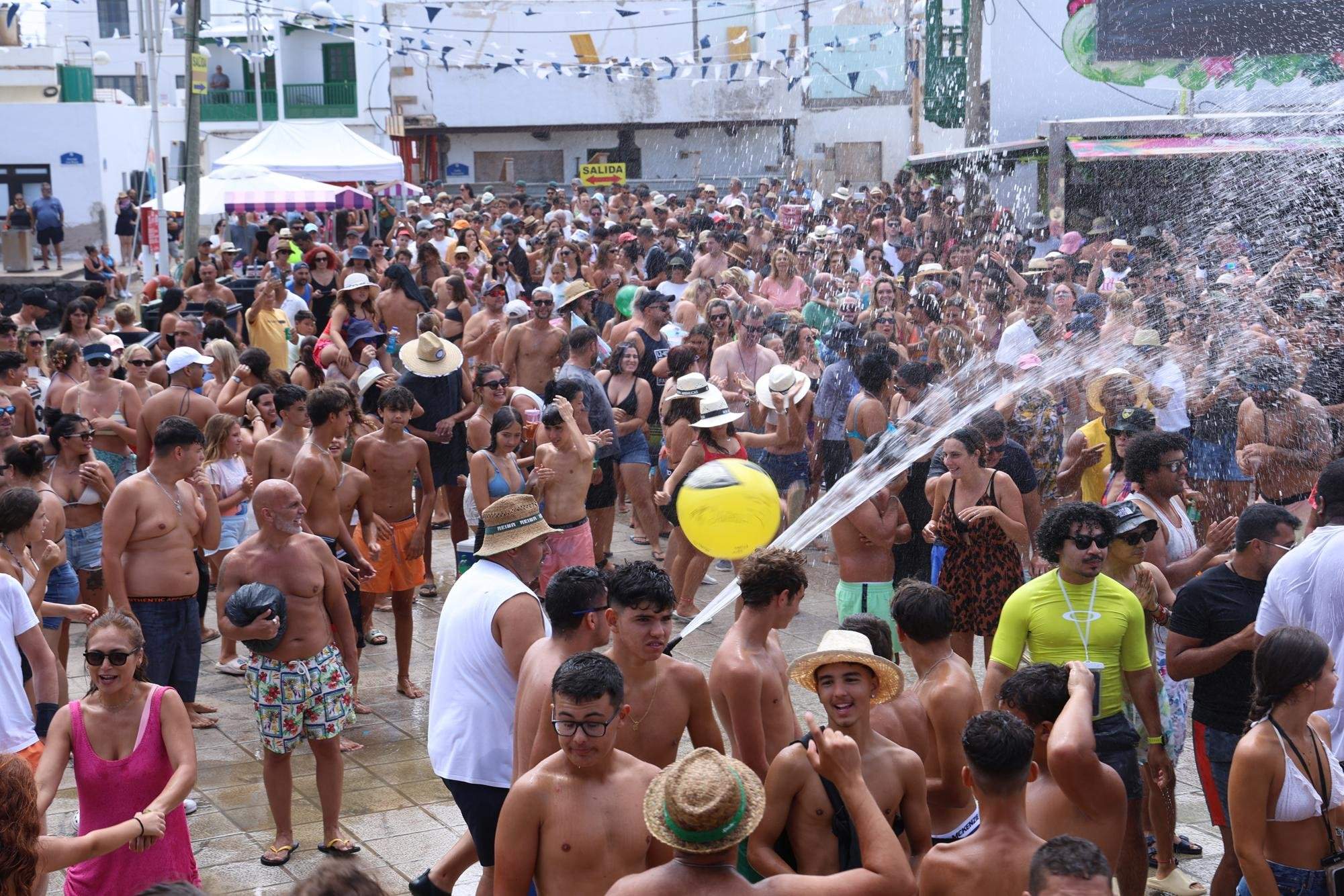 Verbena del agua en Famara, 2025