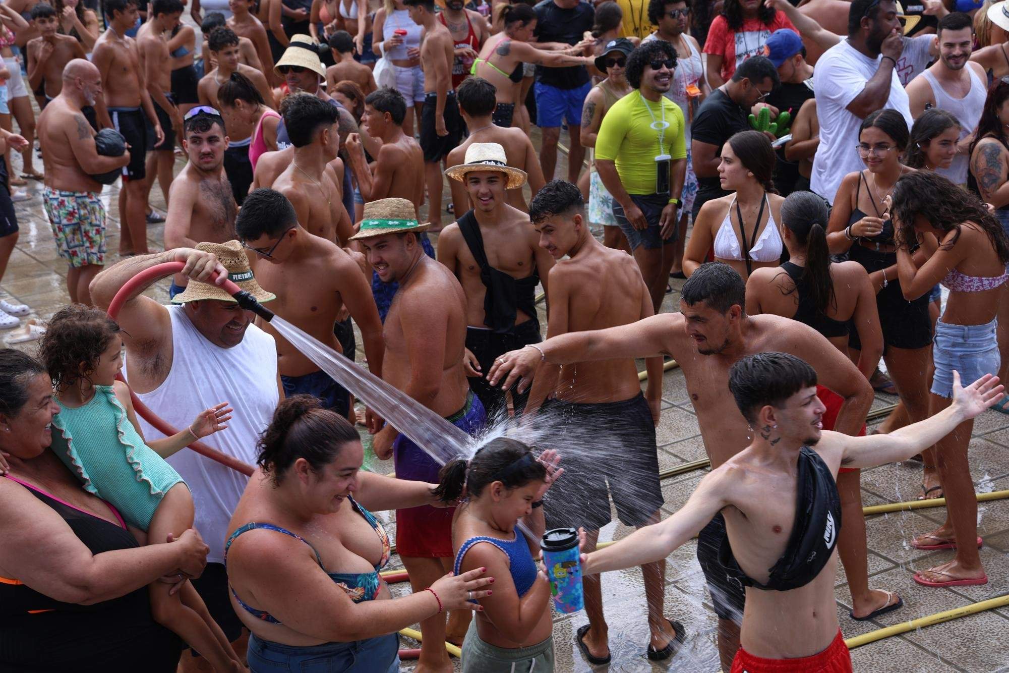 Verbena del agua en Famara, 2025