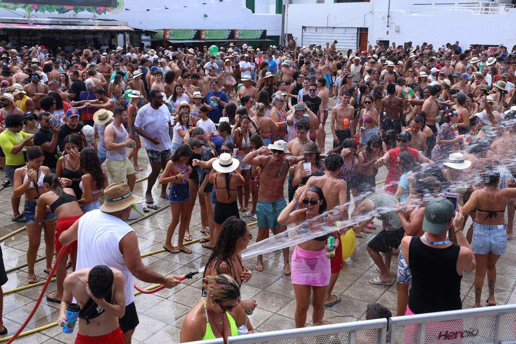 Verbena del agua en Famara, 2025