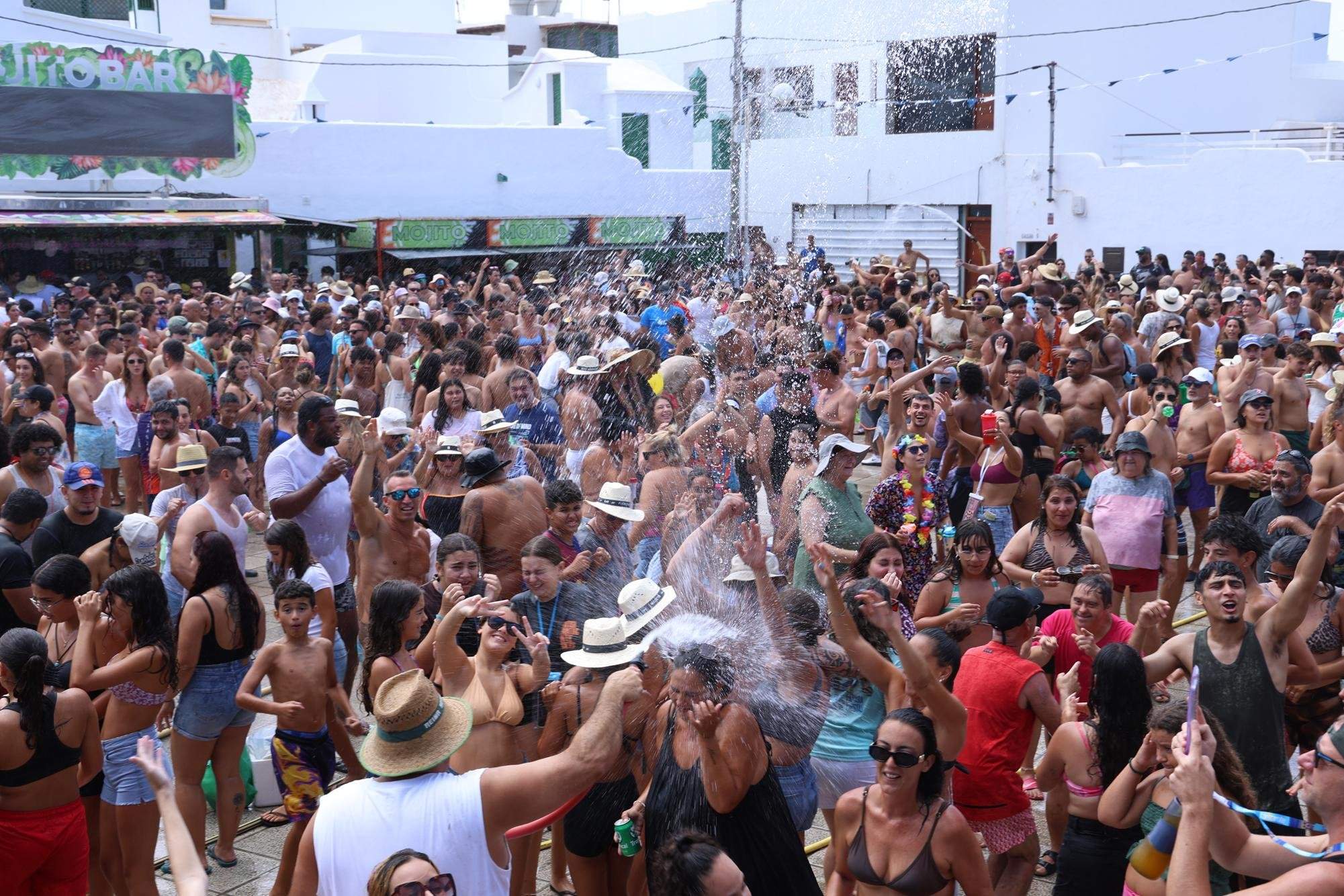 Verbena del agua en Famara, 2025