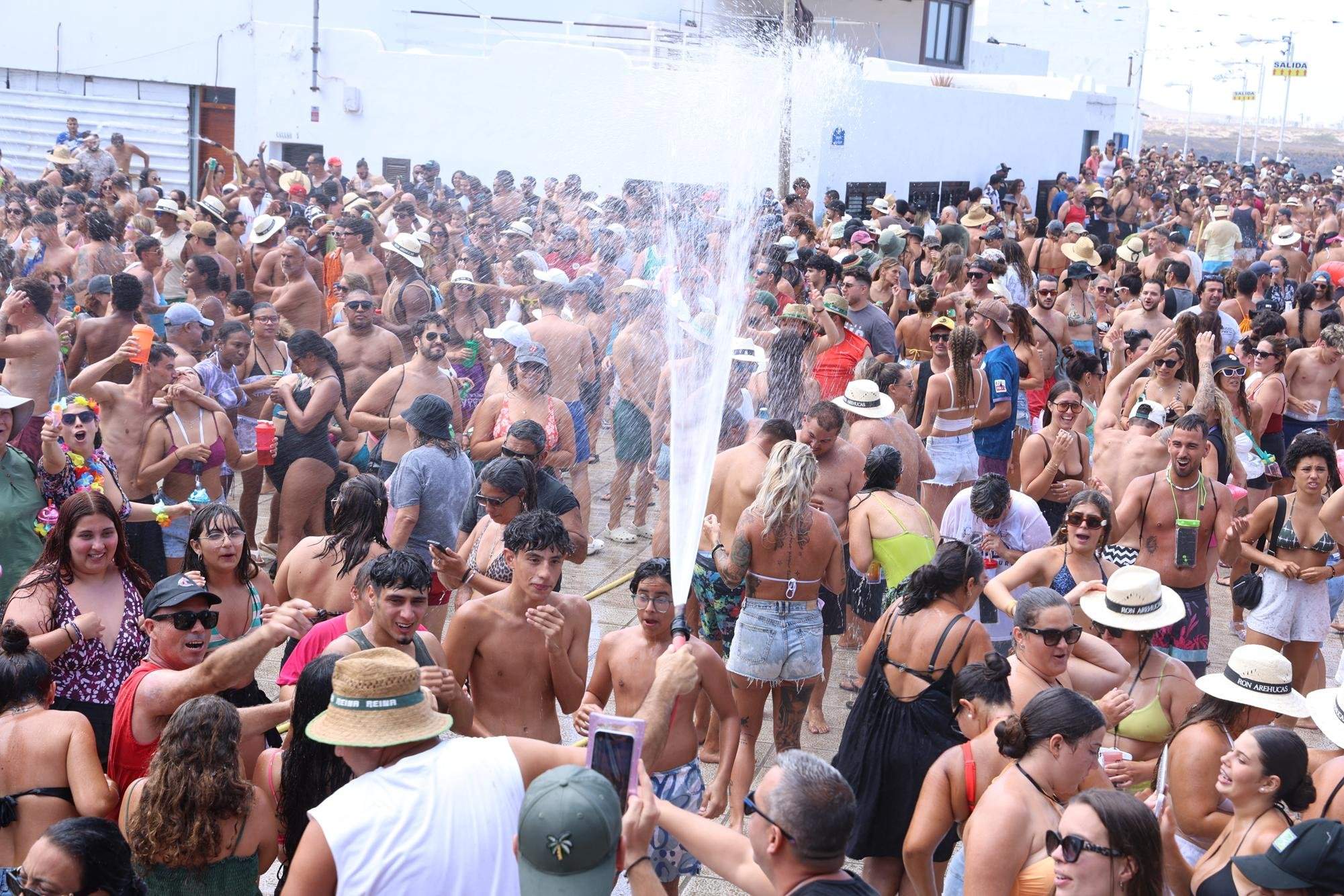 Verbena del agua en Famara, 2025