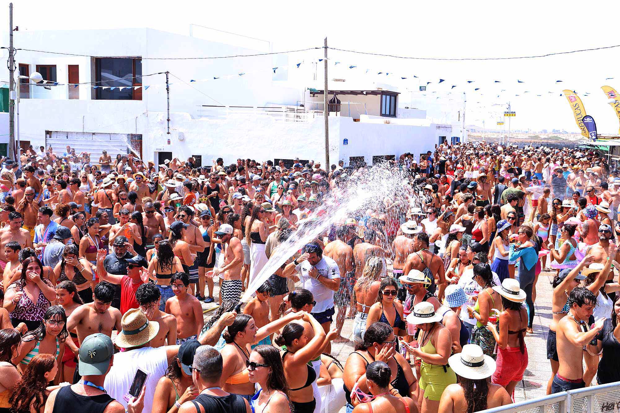 Verbena del agua en Famara, 2025