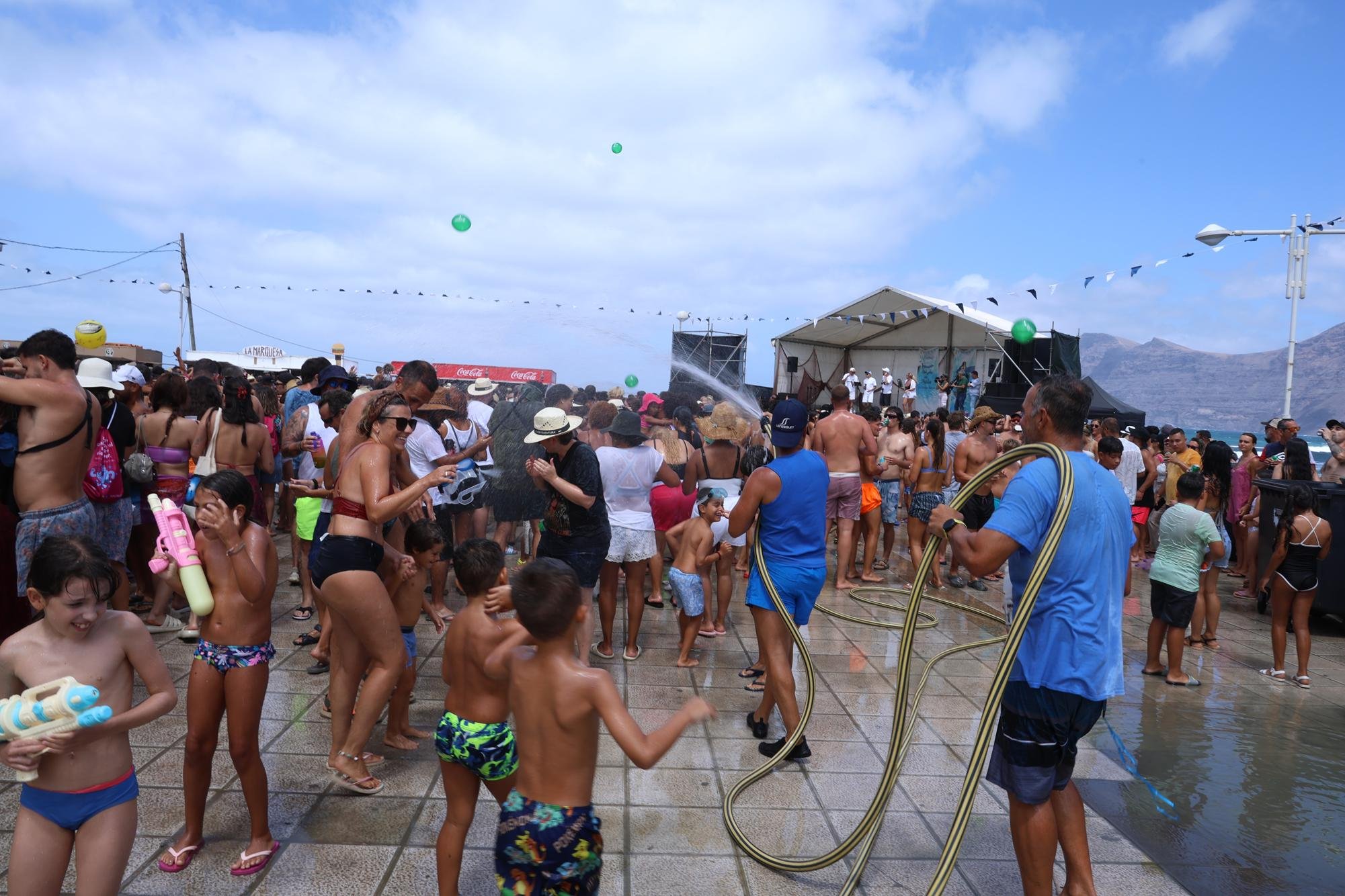 Verbena del agua en Famara, 2025