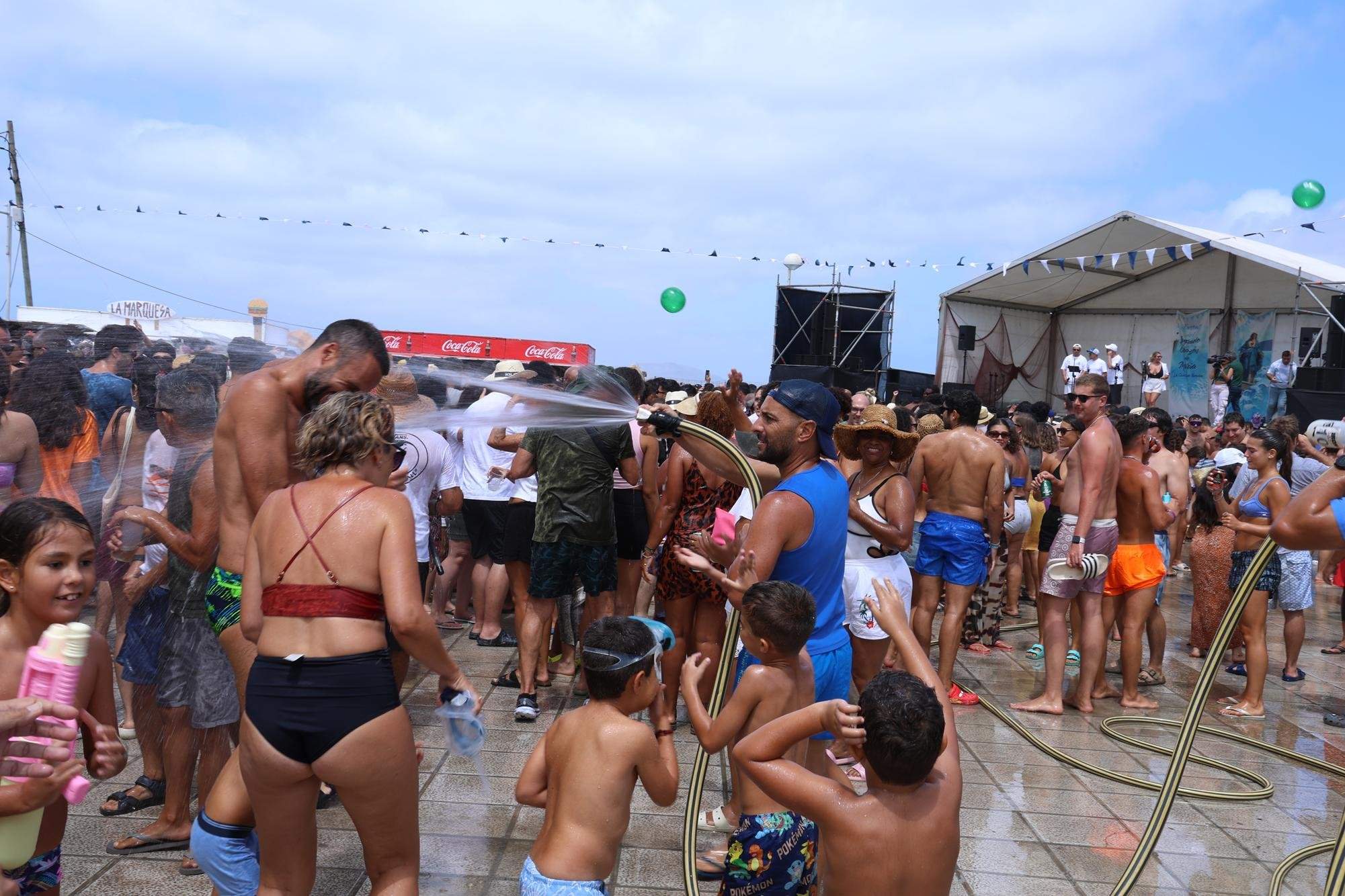 Verbena del agua en Famara, 2025