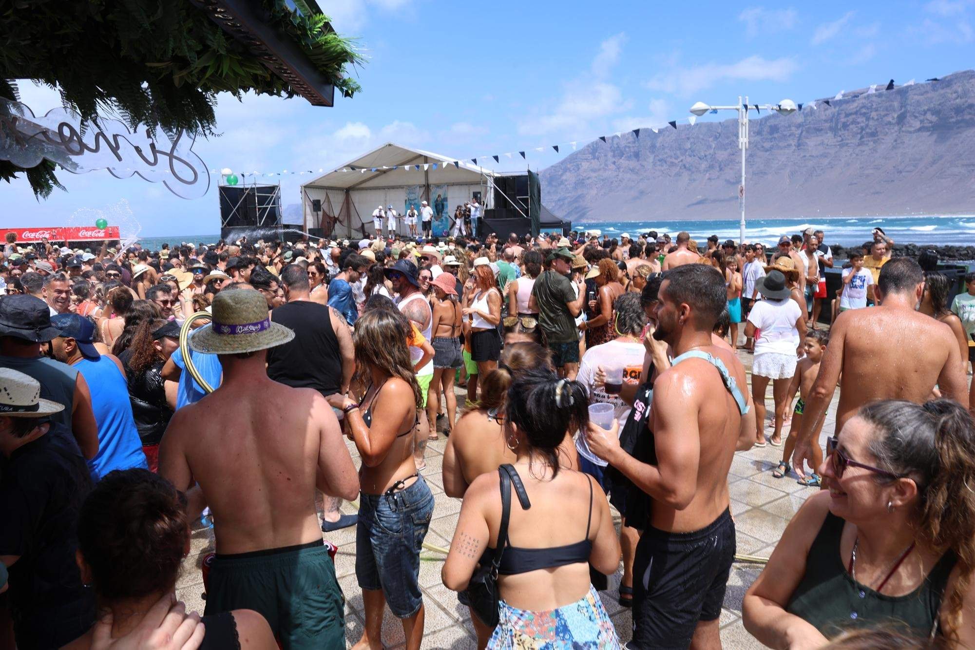 Verbena del agua en Famara, 2025