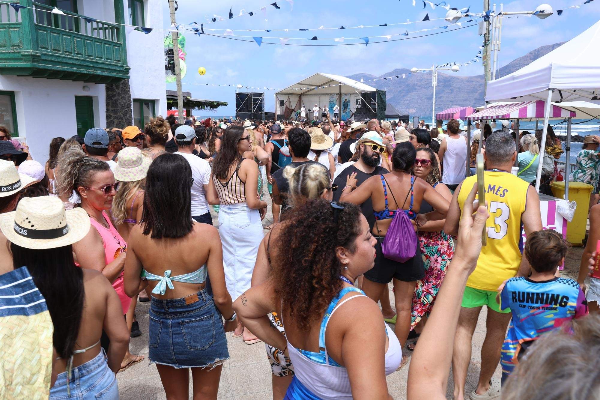 Verbena del agua en Famara, 2025