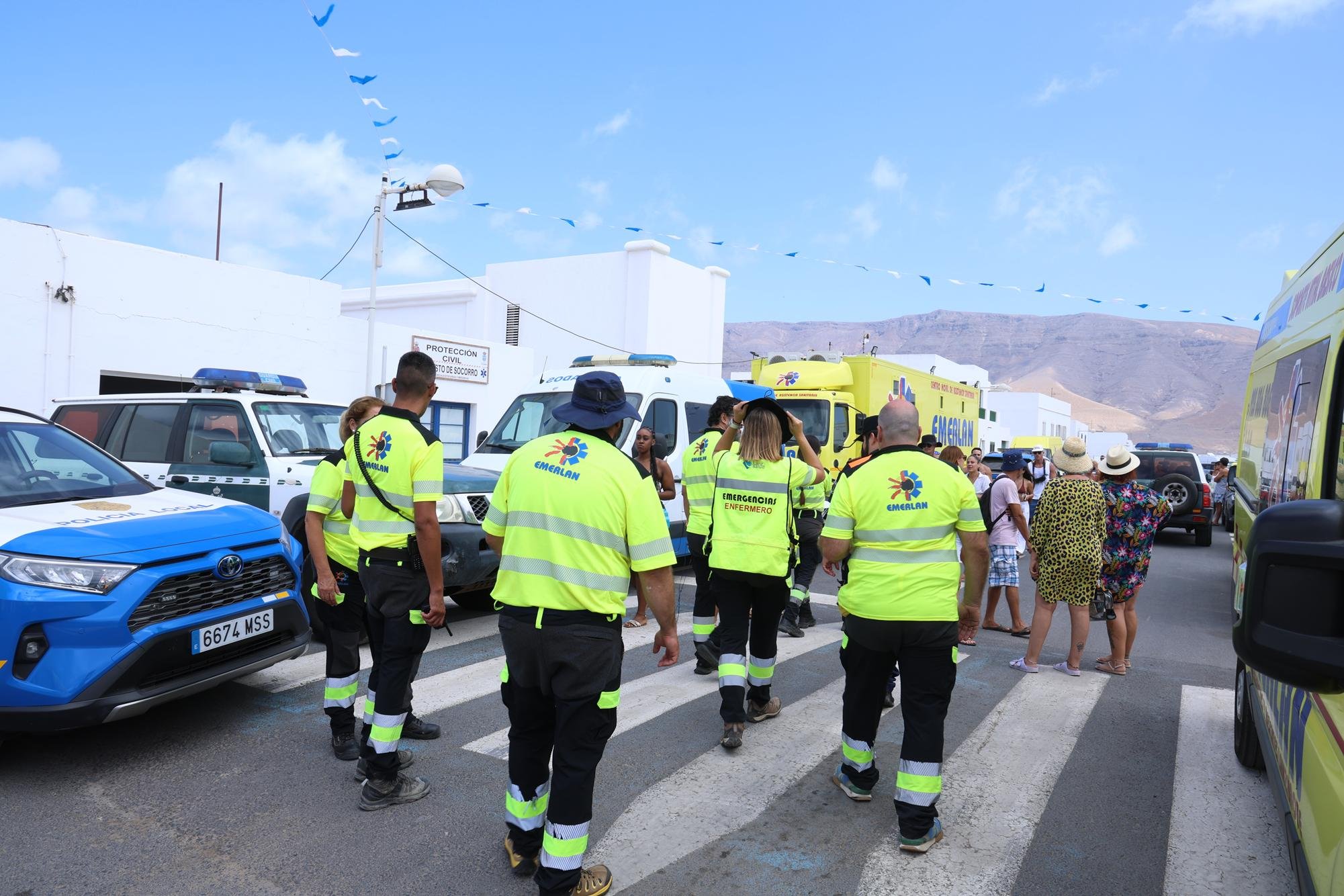 Verbena del agua en Famara, 2025