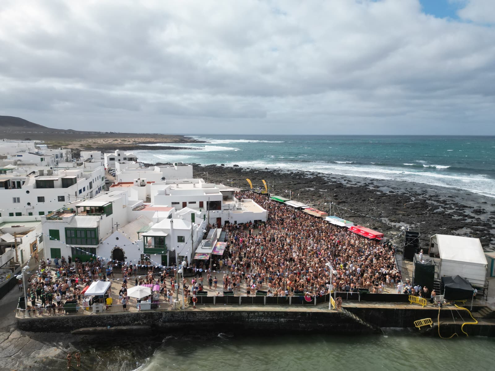 Verbena del agua en Famara, 2025
