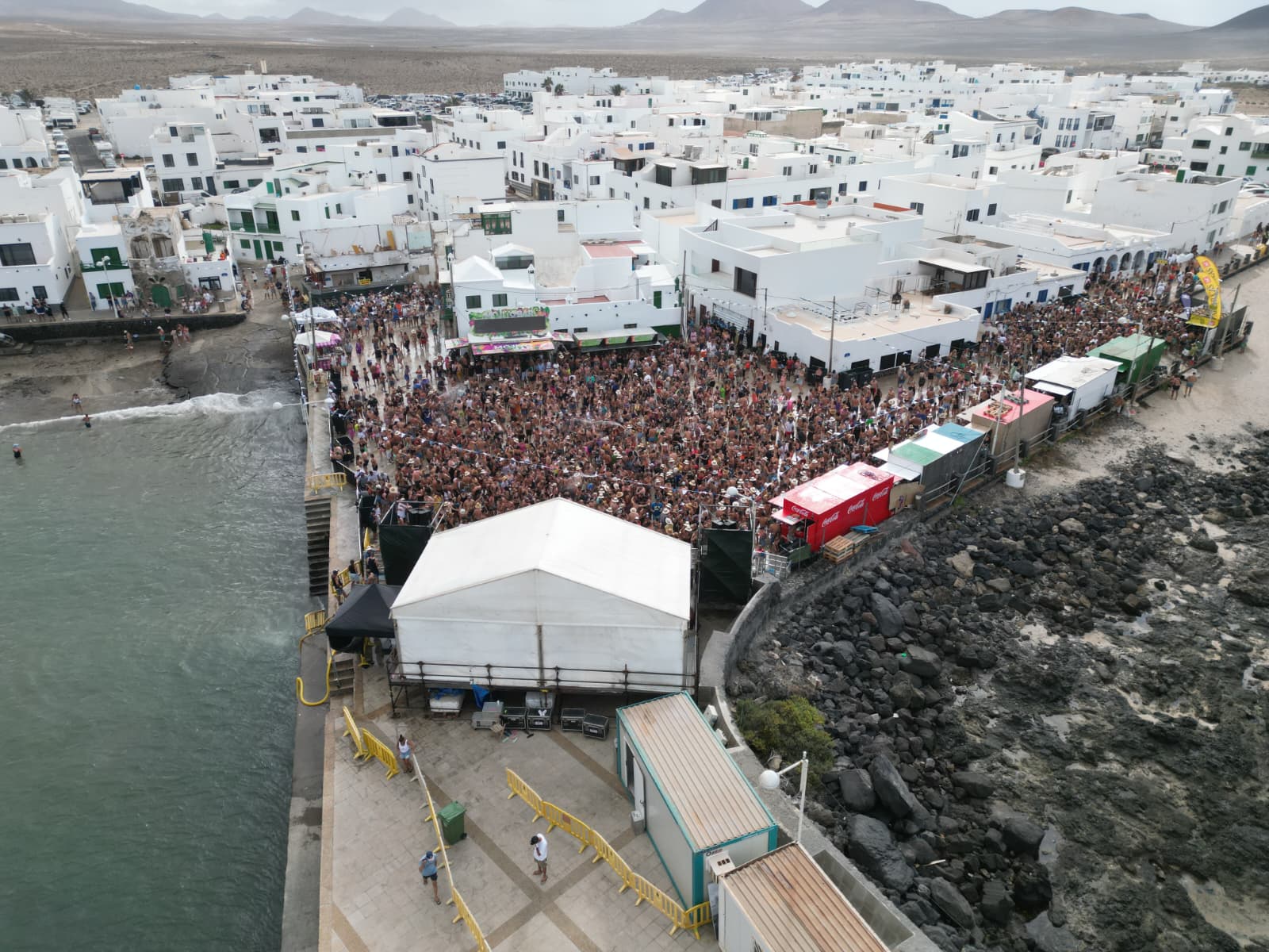 Verbena del agua en Famara, 2025
