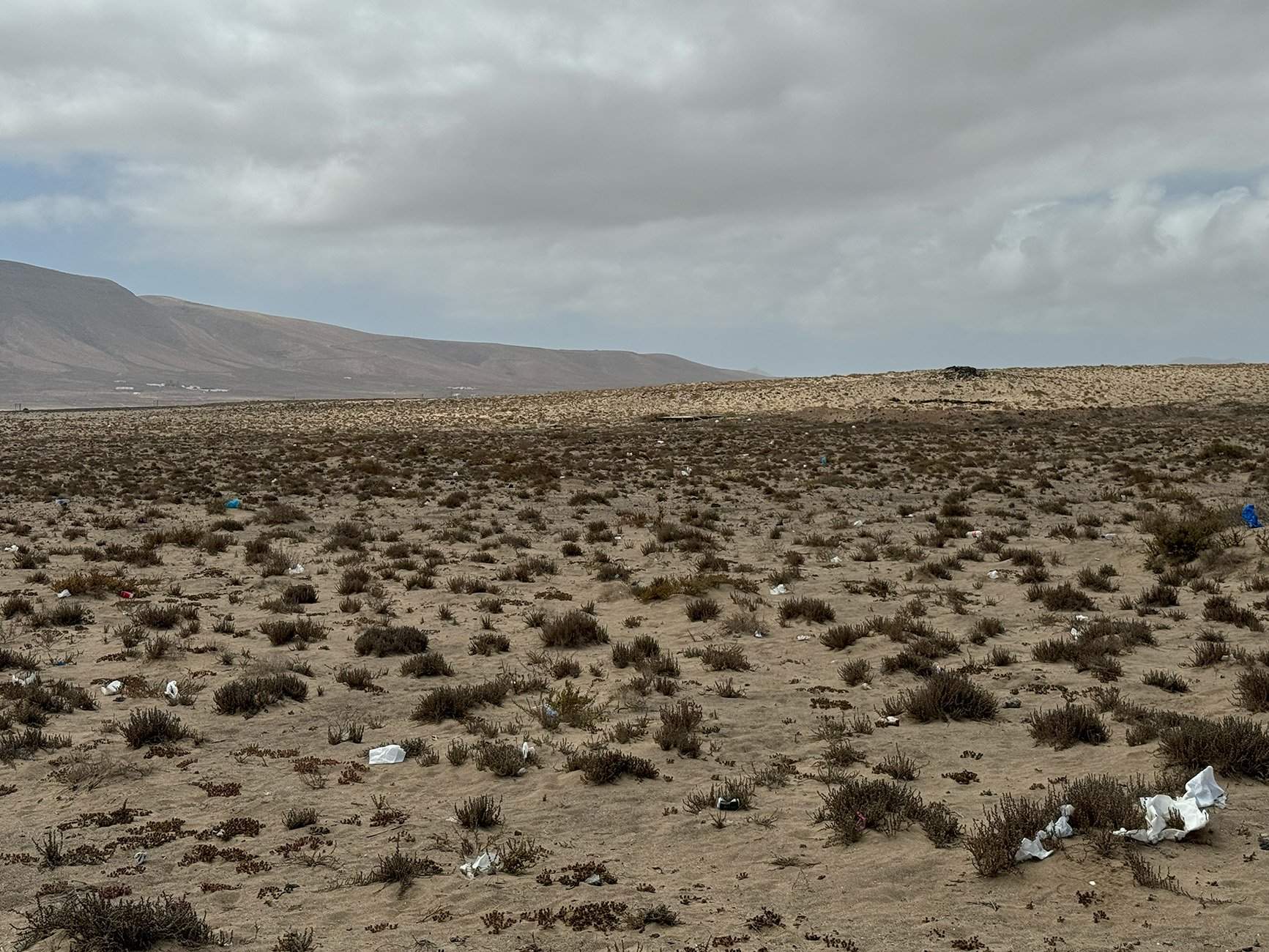 Basura en El Jable de Famara. Foto: Andrea Domínguez.