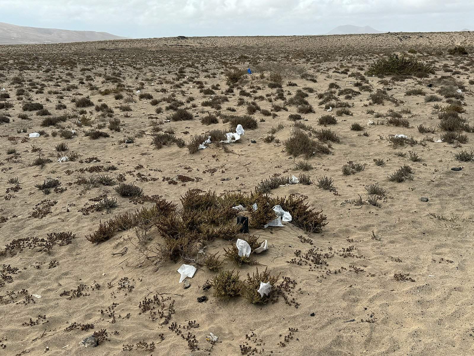 Basura en El Jable de Famara. Foto: Andrea Domínguez.
