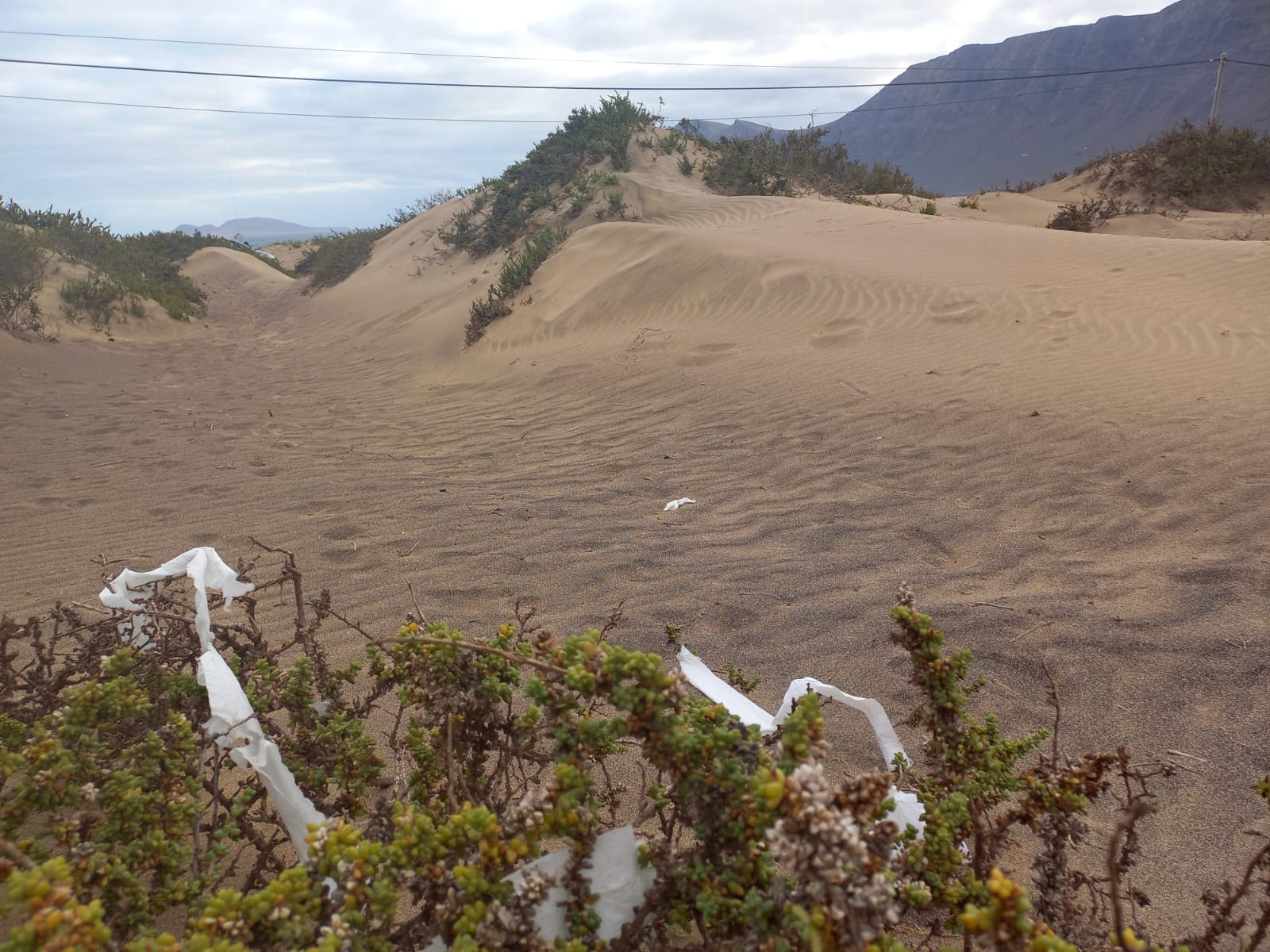 Residuos tras las fiestas locales de Lanzarote. Foto: Papacría. Residuos tras las fiestas locales de Lanzarote. Foto: Papacría.
