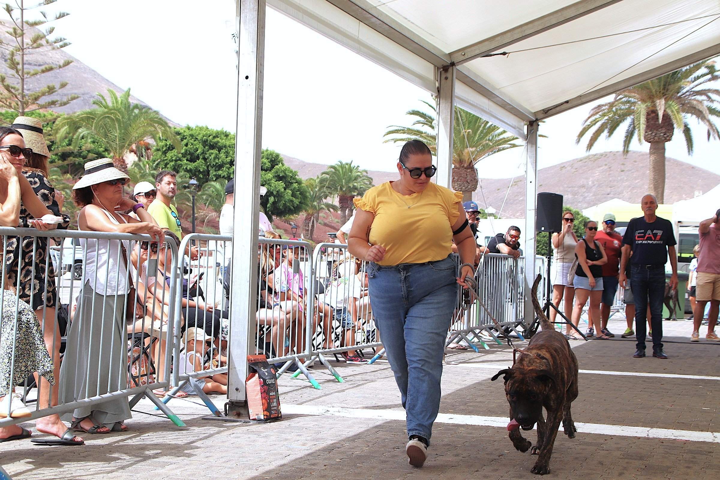 Encuentro monográfico en Yaiza Encuentro monográfico en Yaiza