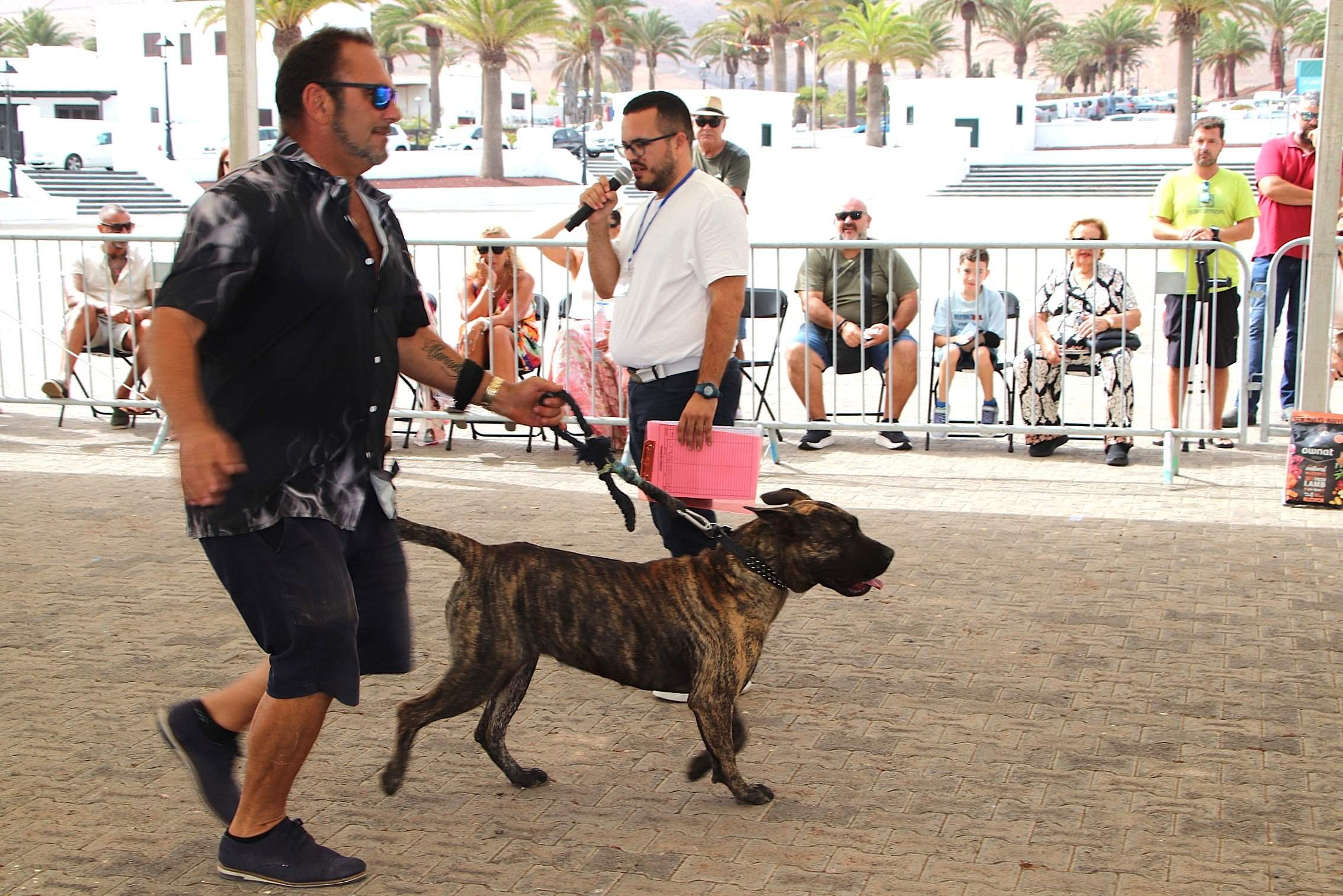 Encuentro monográfico en Yaiza Encuentro monográfico en Yaiza