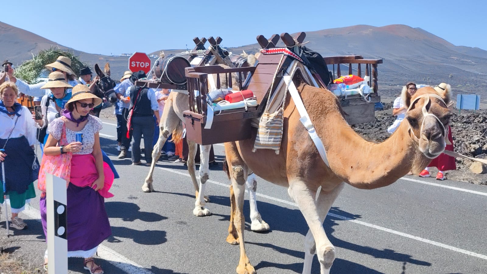 Romería en honor a la Virgen de Los Dolores.
