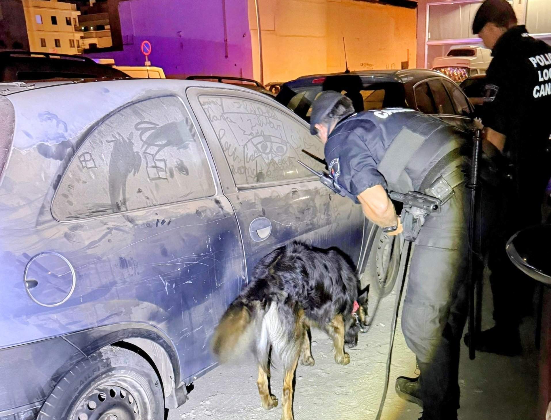 La Policía Local de Arrecife utiliza perros adiestrados para combatir la venta de drogas (1)
