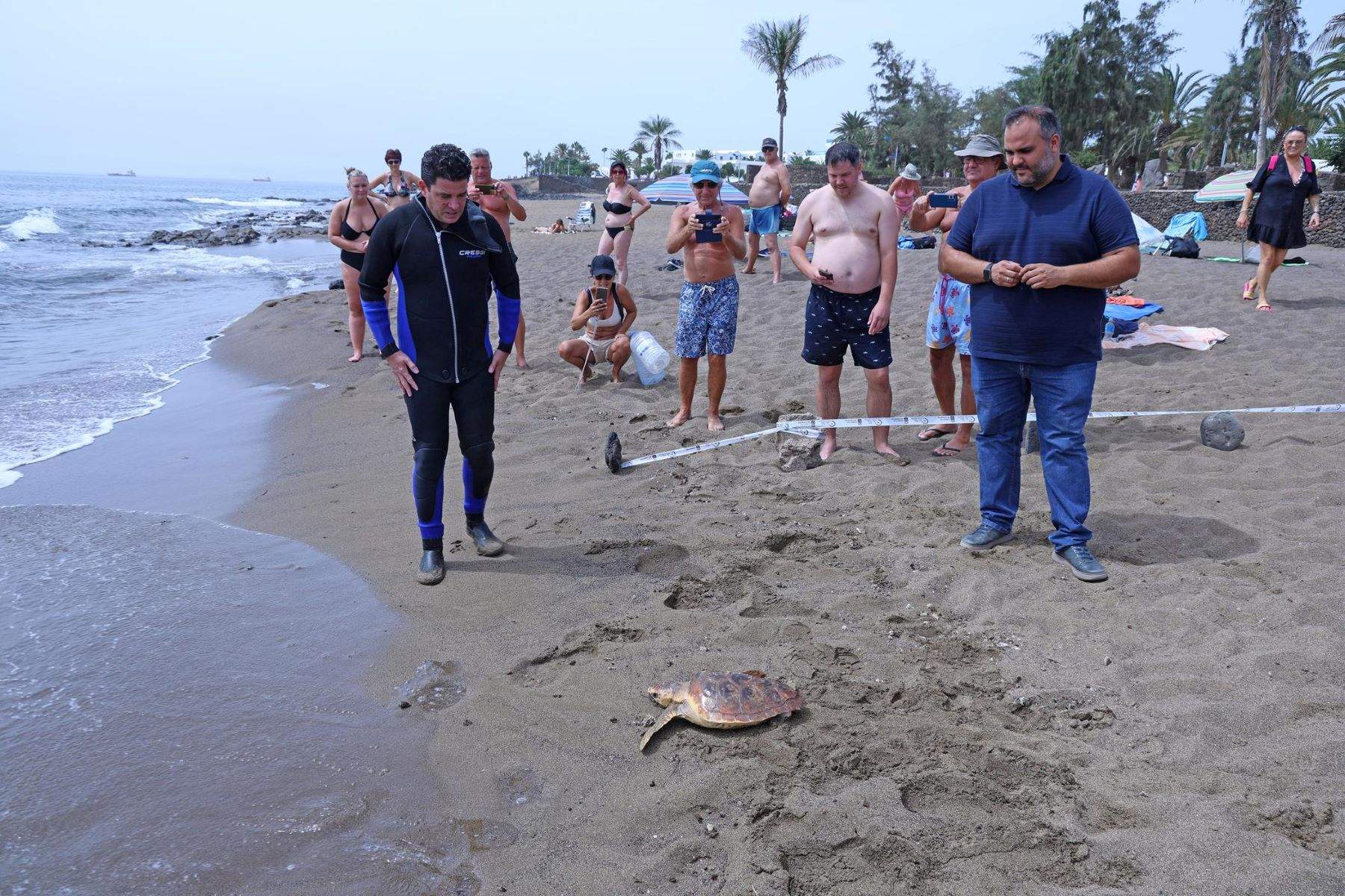 Suelta de una tortuga boba en Playa Bastián 