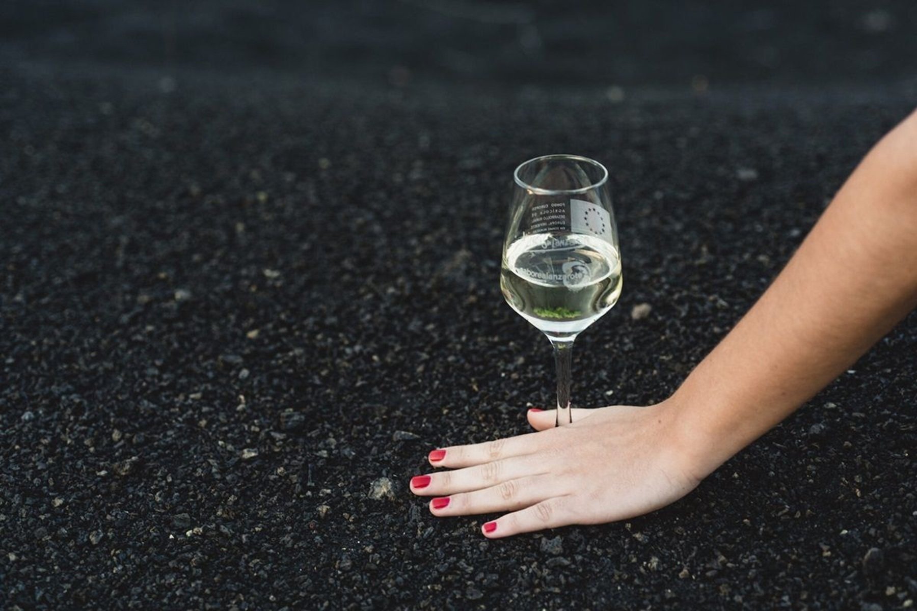 Vino de Lanzarote. Foto: Consejo Regulador