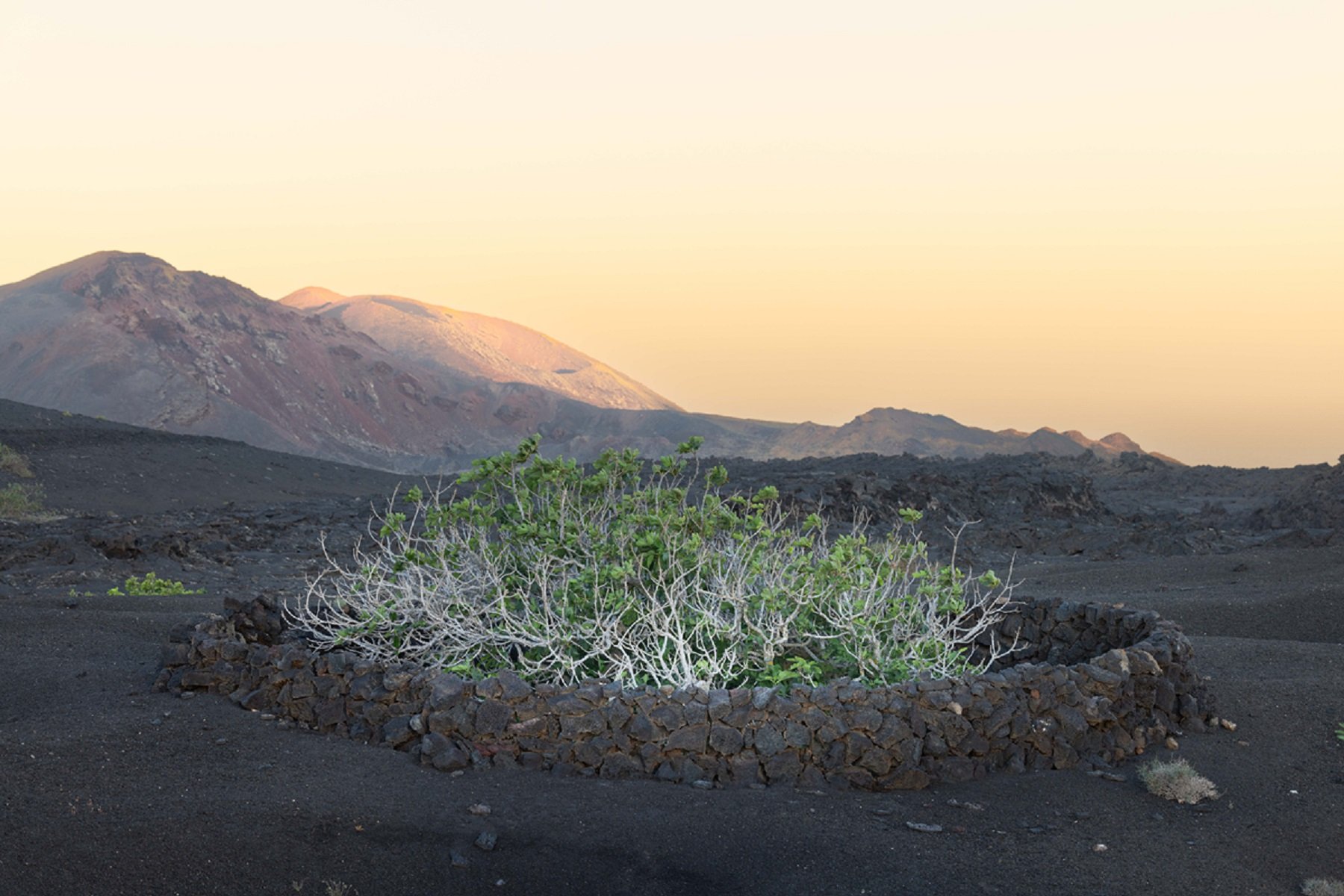 Parque Nacional de Timanfaya