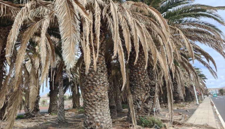 40f1f3ac bfb2 445b 8cd9 c6b8927a0548