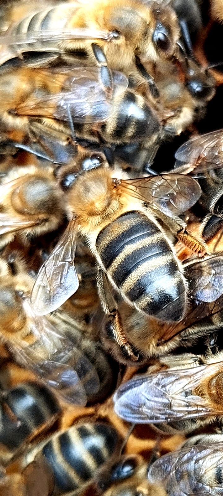 WhatsApp Image 2025 09 24 at 17.16.41 WhatsApp Image 2025 09 24 at 17.16.41