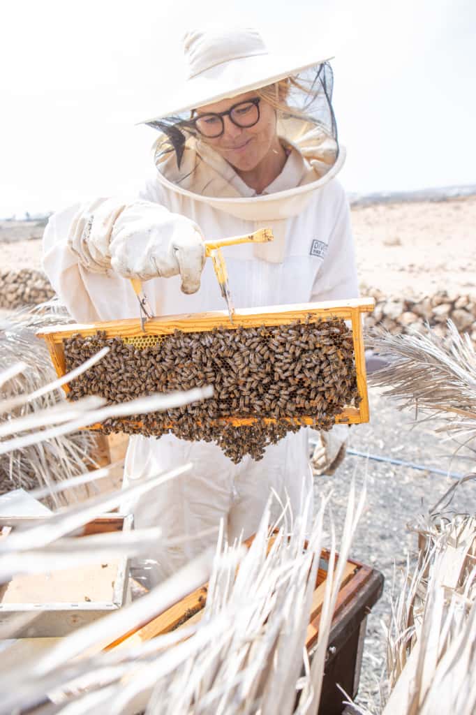 WhatsApp Image 2025 09 24 at 17.18.39 WhatsApp Image 2025 09 24 at 17.18.39