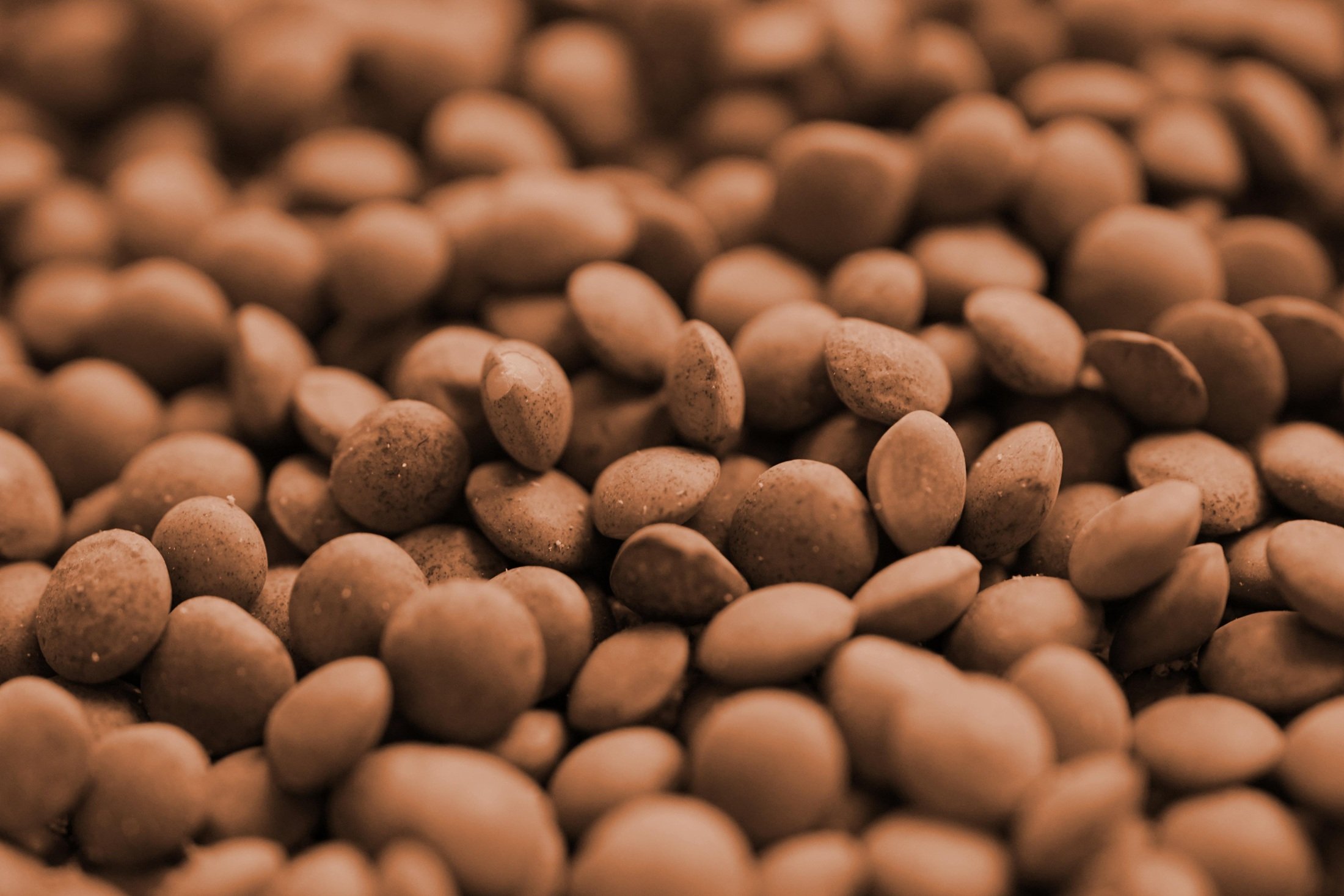 Imagen de archivo de lentejas. Pixabay