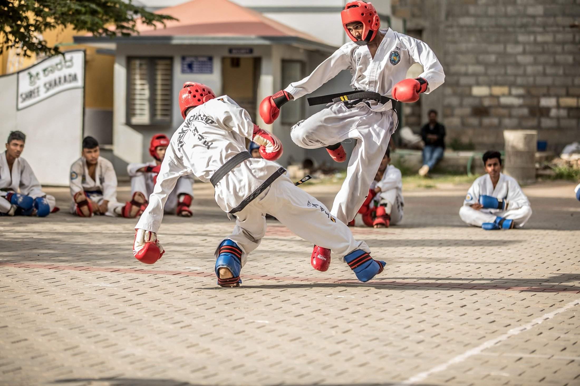 Imagen de dos deportistas practicando Taekwon-Do. Foto: Pixabay