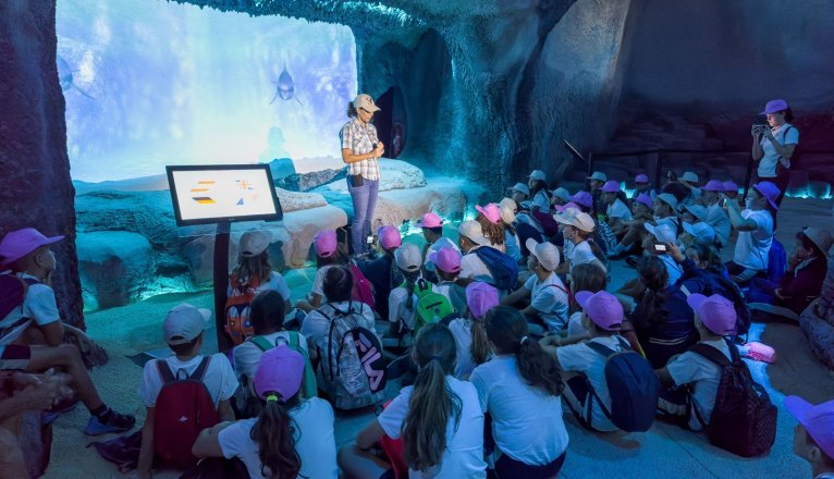 Proyecto Escuelas azules en Rancho Texas Park 2