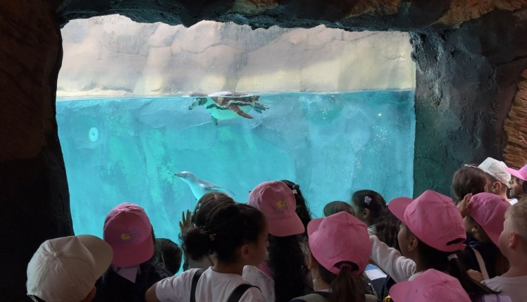 Experiencias del proyecto Escuelas azules en Rancho Texas Park