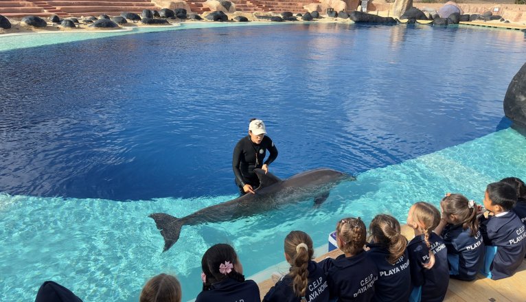 Animal learning in the Blue Schools of Rancho Texas Park