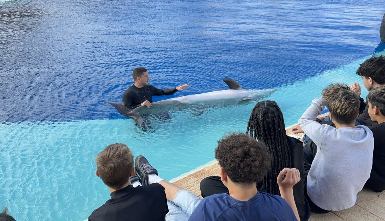 Escuelas azules en Rancho Texas Park